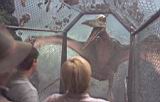 Jurassic Park III_15.jpg